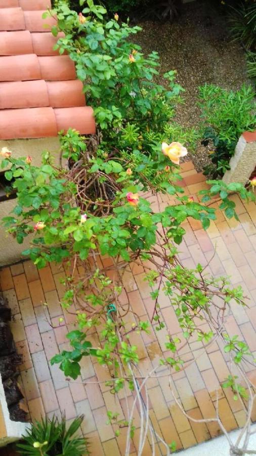 Maison Charmante A Sainte-Marie Avec Grand Jardin Bagian luar foto